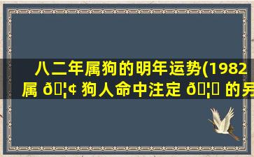 八二年属狗的明年运势(1982属 🦢 狗人命中注定 🦁 的另一半)